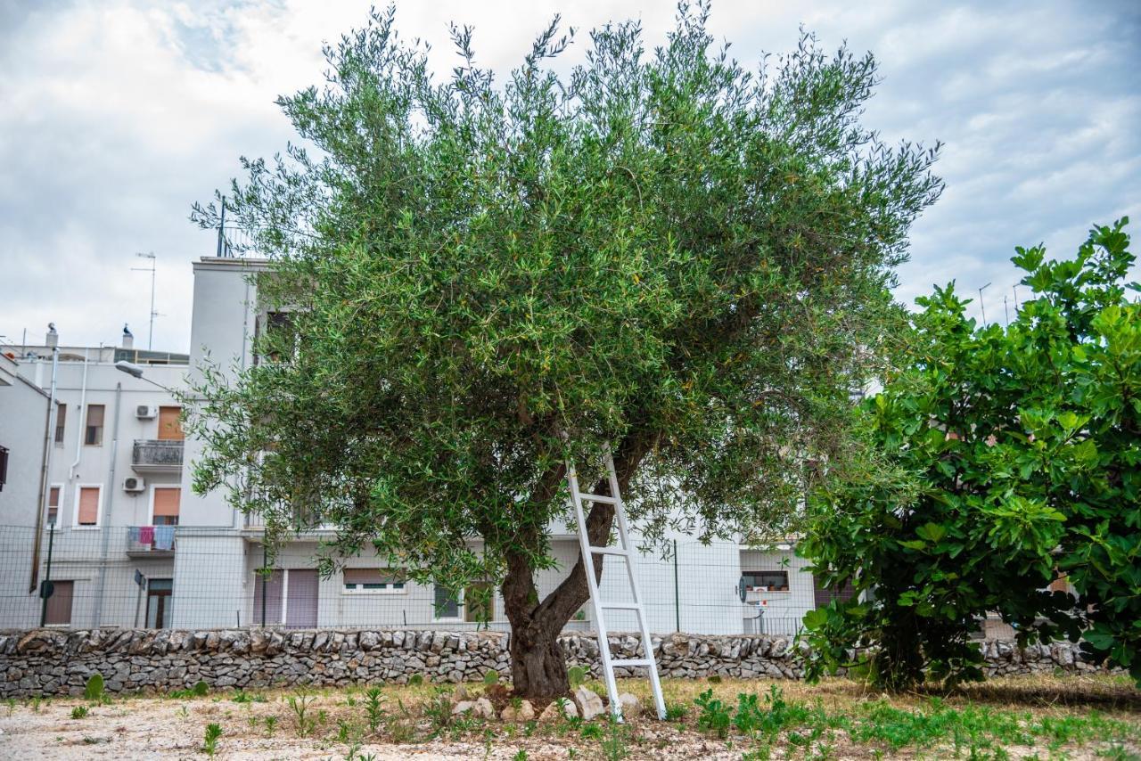 Trulli Dimora Palmisano Apartment Locorotondo Exterior foto